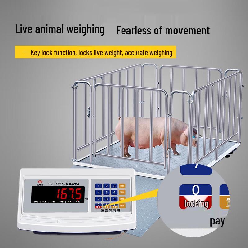 Wireless Industrial Digital Platform Scale