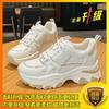 Inner heightening dad shoes women's tide 2025 new autumn mesh breathable versatile casual sports shoes