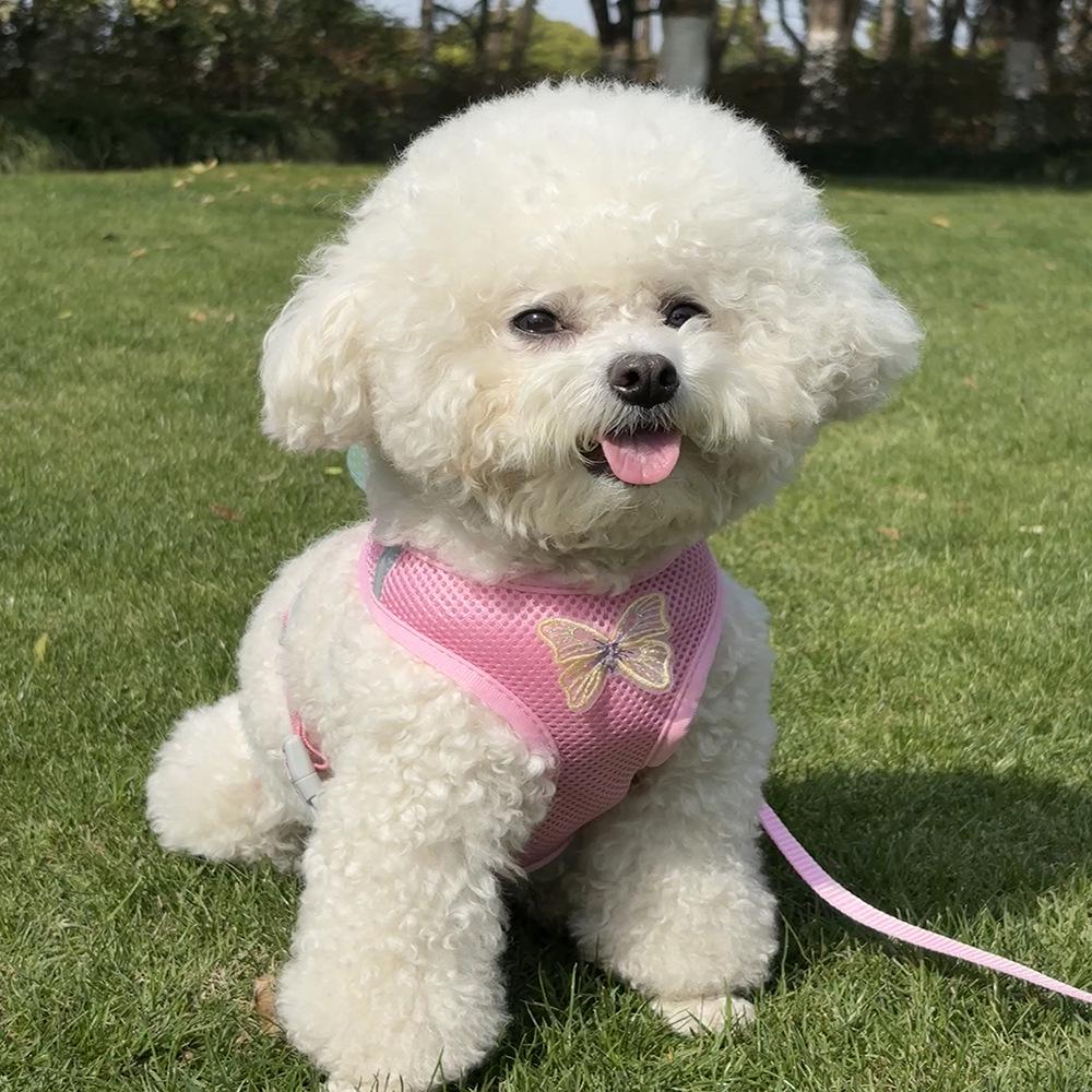 Explosion-Proof Vest-Style Dog Harness with Breathable Fabric for Small Pets