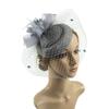 Sinamay Feathers Mesh Fascinator Hat Flower Mesh Party Mesh Hair Band  Dance Show