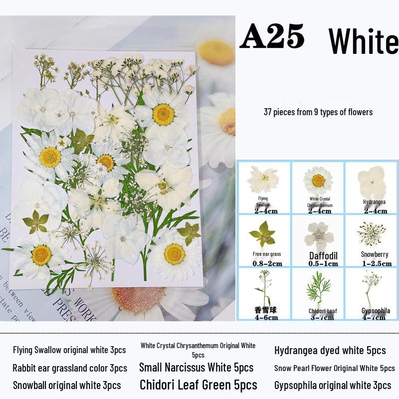 Handmade Resin Pressed Flower Bookmark DIY Kit: Transparent Specimen Stickers & Dried Flowers for Students
