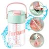 Water Bottle Flask with Basket and Straw Fortune 600 Ml Sport