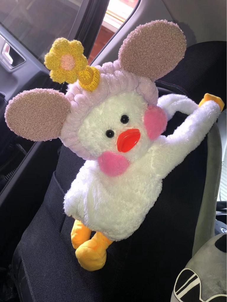 Boîte à mouchoirs Canard Célébrité Internet pour Voiture: Sac Suspendu Cartoon Mignon pour Intérieurs de Voiture