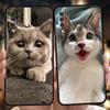 Kawaii Love Cat Phone Case For Samsung A56 A36 A26 A24 A16 A14 A12 A32 A50 A70 A22 A30 A40 A34 A54 A42 A52 A04s A06 5G Cover