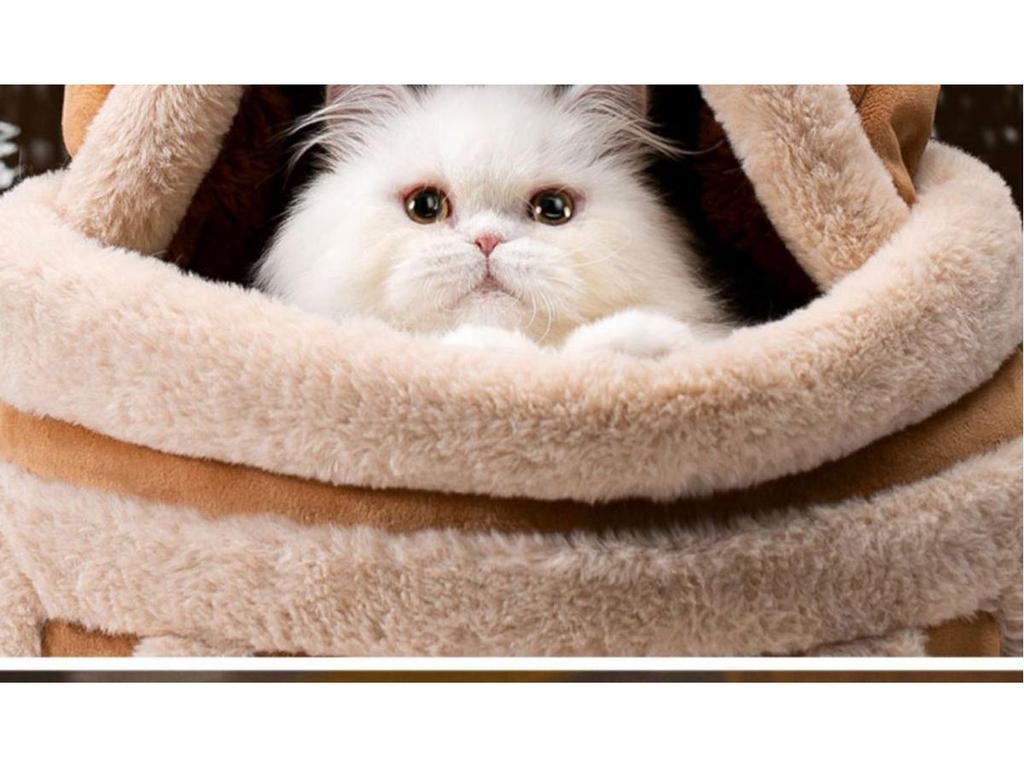 Portable Winter Warm Cat & Dog Backpack: Double Shoulder Pet Carrier