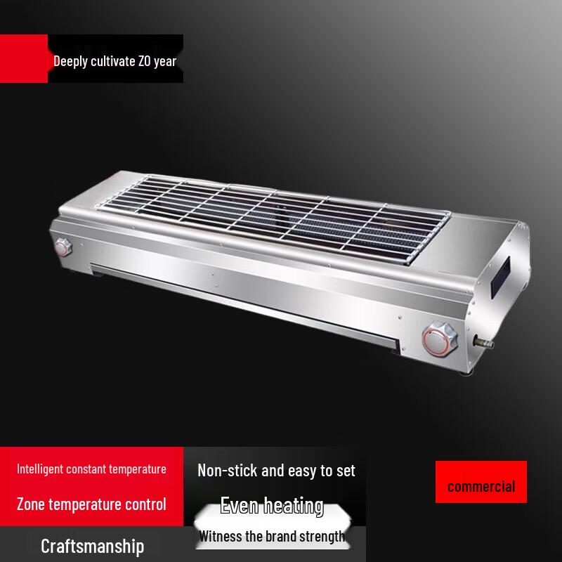 Beifu DW-110 Outdoor Gas BBQ Grill