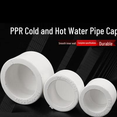 RUR PPR Pipe End Cap