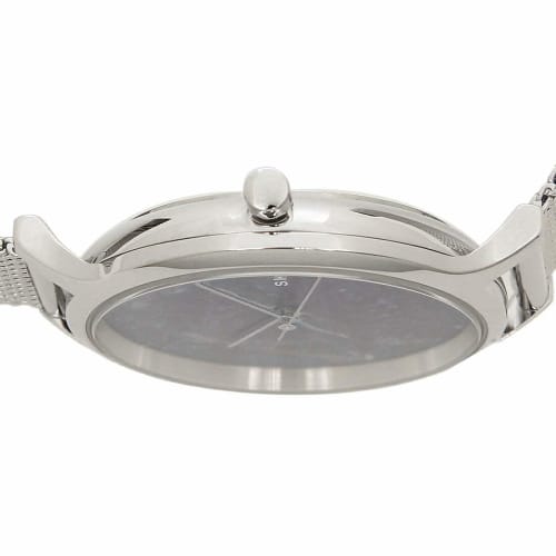 Skagen Women's Watch SKAGEN SKW2718 Silver Blue