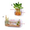 Wall Hanging Aquariums Tanks Office Wall Fish Tanks Wall Mounted Fish Bowl for Modern Home Decoration