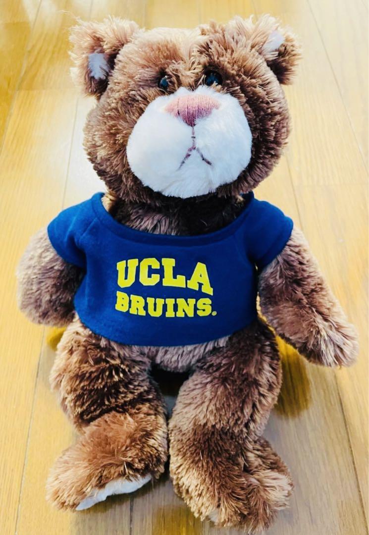 

[USED] UCLA Teddy Bear, a prestigious American university