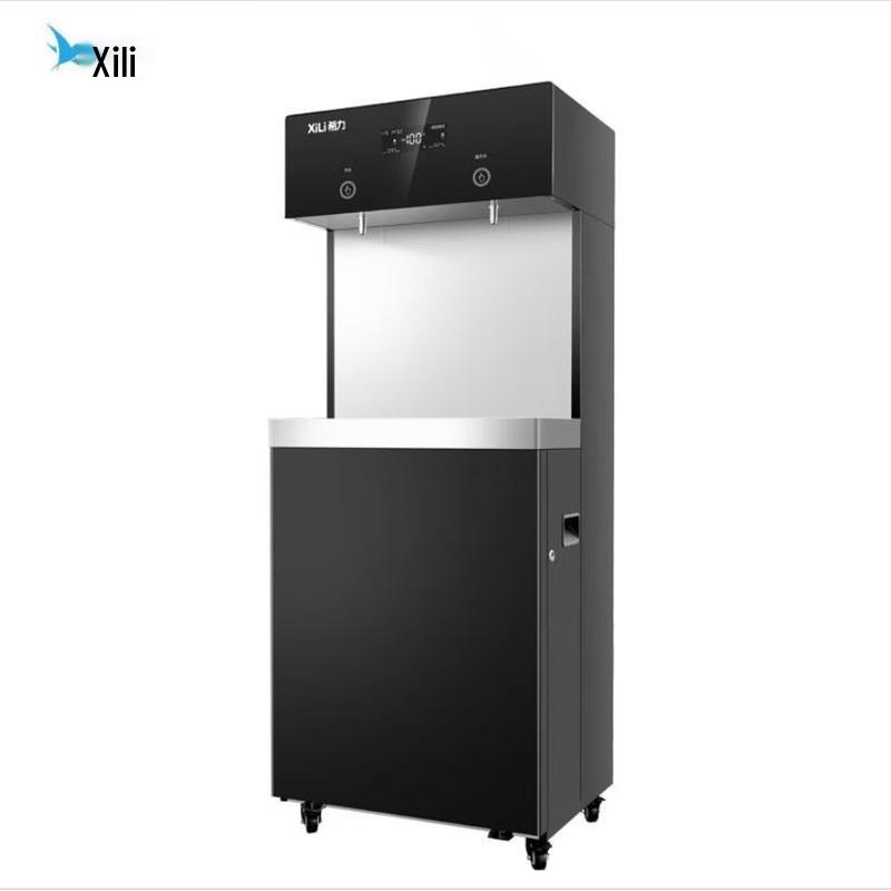 Xili XL-J2 RO Water Purifier & Hot Water Dispenser