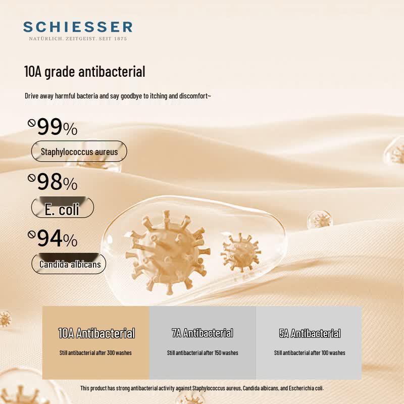 Schiesser Women's 10A Antibacterial Seamless High-Waist Briefs