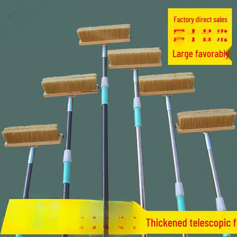 Truck & Bus Cleaning Boar Bristle Brush and Snow Mop