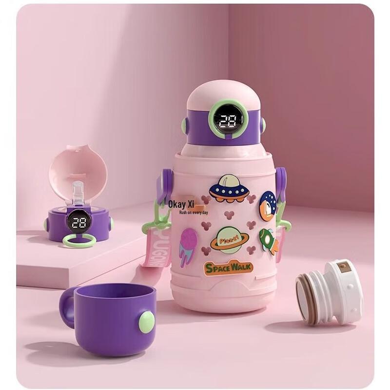 XIDERUN 316 Stainless Steel LED Display Insulated Water Bottle, 500ml Starry Pink