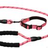 Dog Leash for