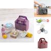 Classic Design Insulated Lunch Box Soft Cooler Bag Thermal Work Picnic Companion