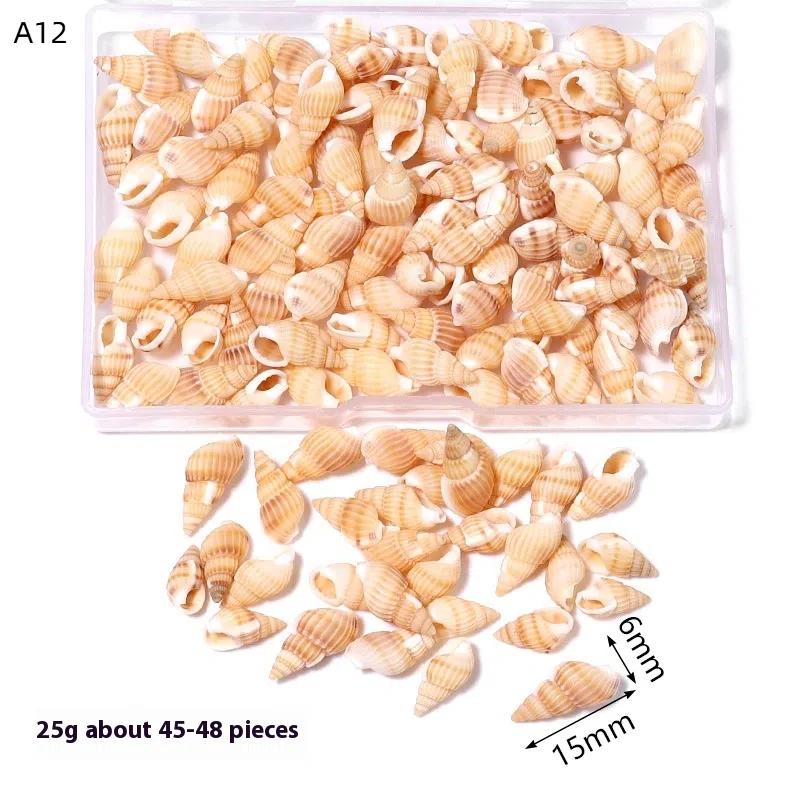 1 Box Sea Shells Spiral Shell Tiny Ocean Spiral Seashells Crafts Aquarium Decor Landscaping Accessories