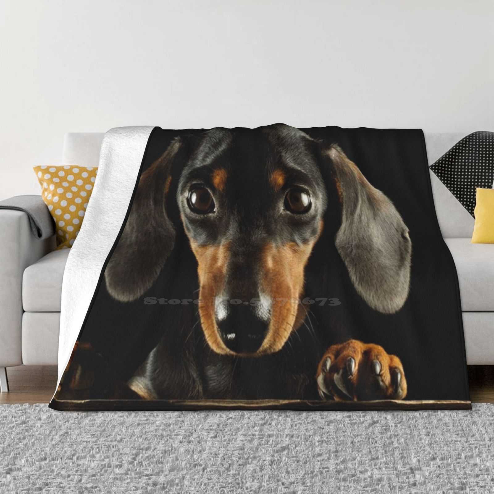 Такса Собака Фото Портрет Мода Мягкое Теплое Фланелевое Одеяло Собаки Питомцы Щенки Забавные Животные Таксы Такса Сосиска Собака 30x40in