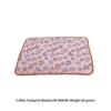 Household Winter Pet Soft Blanket Living Room Portable Folding Cartoon Style Coral Velvet Mat Sofa Couch Sleeping Pad