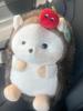 Cartoon Apple Hedgehog Plush Toy - Cute Animal Plush for Kids