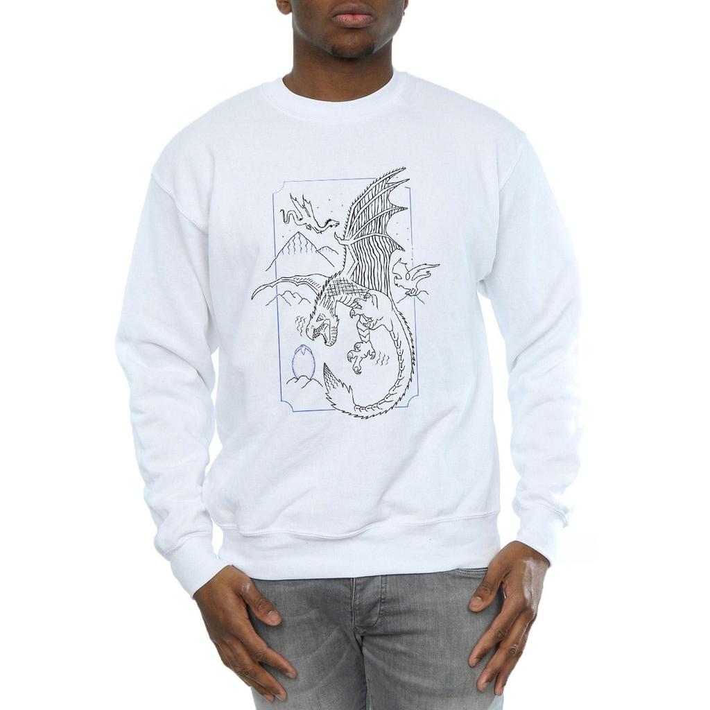HARRY POTTER Herren Dragon Line Art Sweatshirt