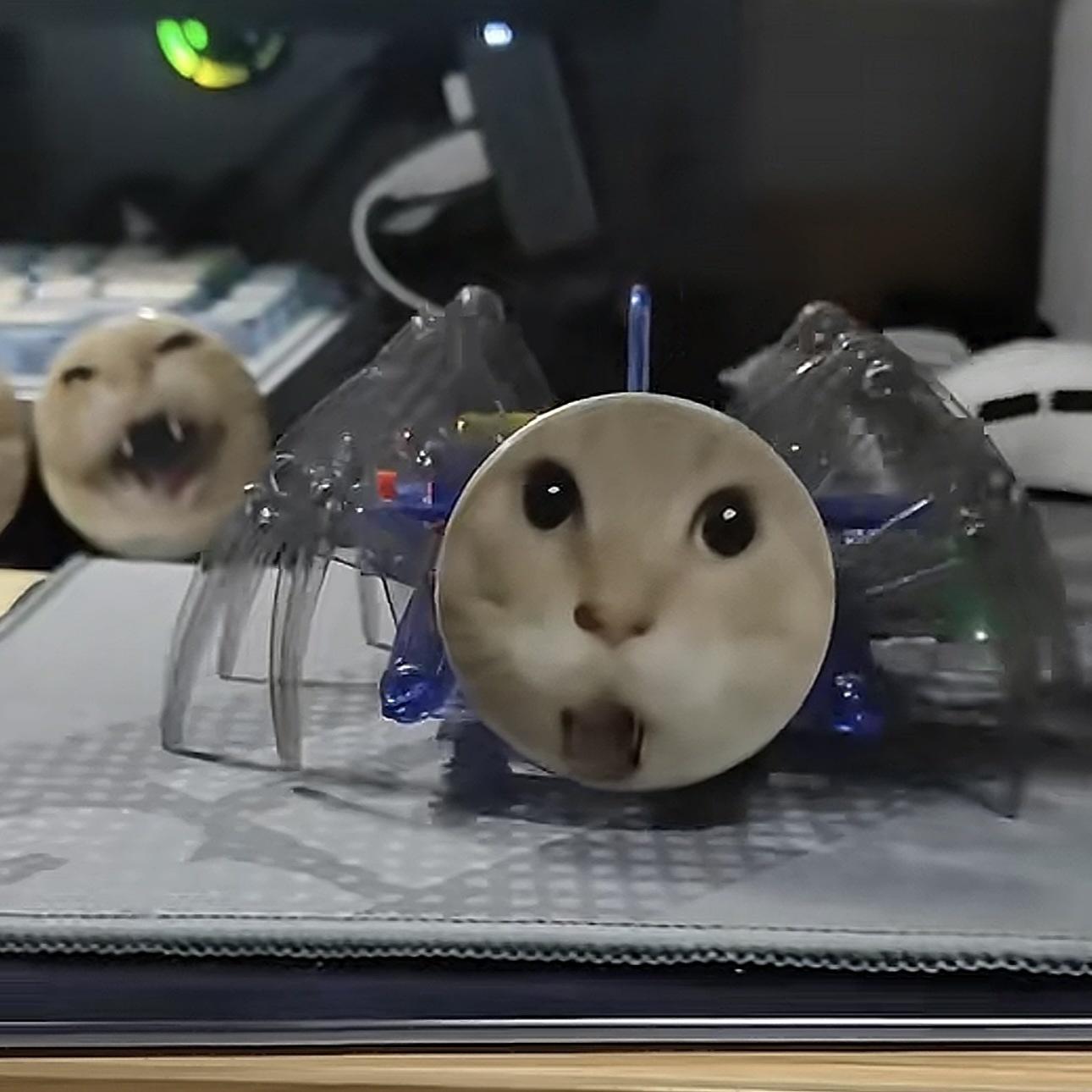 

Funny Spider Cat Toy DIY Kit Anime Badges Electric Display Stand Handmade Crawling Octopus Creative Gift For Adults & Kids