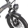 Electric Cargo Bicycle Fafrees 20" F20 Mate 250W Motor Foldable E-Bike Top Speed 25km/h LCD Display 48V 20Ah Dual Hydraulic Brake Max Load 180Kg