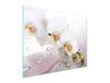 SZKLANA DESKA DO KROJENIA 52x40 ORCHIDEA