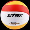 SATA Professional Indoor Volleyball Size 5