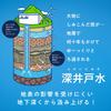 Asahi Beverages Delicious Water Fuji 600ml X 24 Bottles Mt.