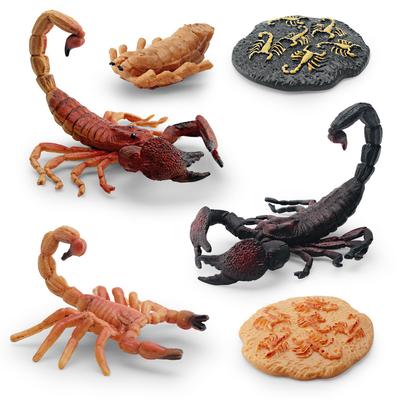 Simulated Insect Growth Cycle Model Toy 4-Piece Set Scorpion Growth Transformation Process Animal Static Ornament