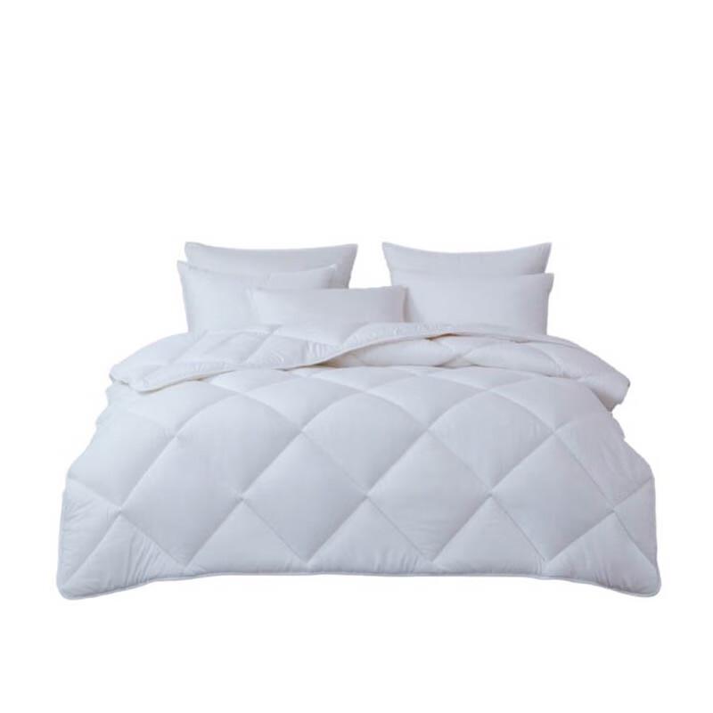 

Mengjie Feather Velvet All-Season Double Quilt