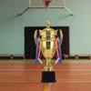 Plastic Model Gold Trophy Awards Sports Games Winner Award Trophy Toy  for Team Sport Competition