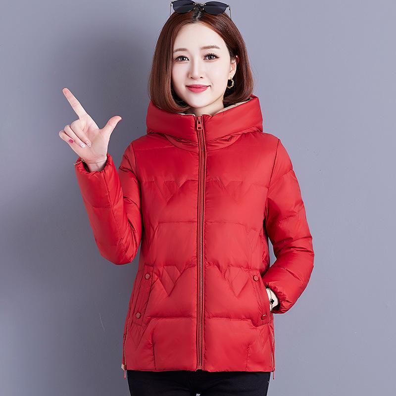 Women's Winter Short Padded Down Jacket - Warm, Fashionable, Plus Size Coat