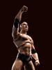 S.H.Figuarts WWE The Rock (approx. 160mm tall) PVC & ABS articulated figure