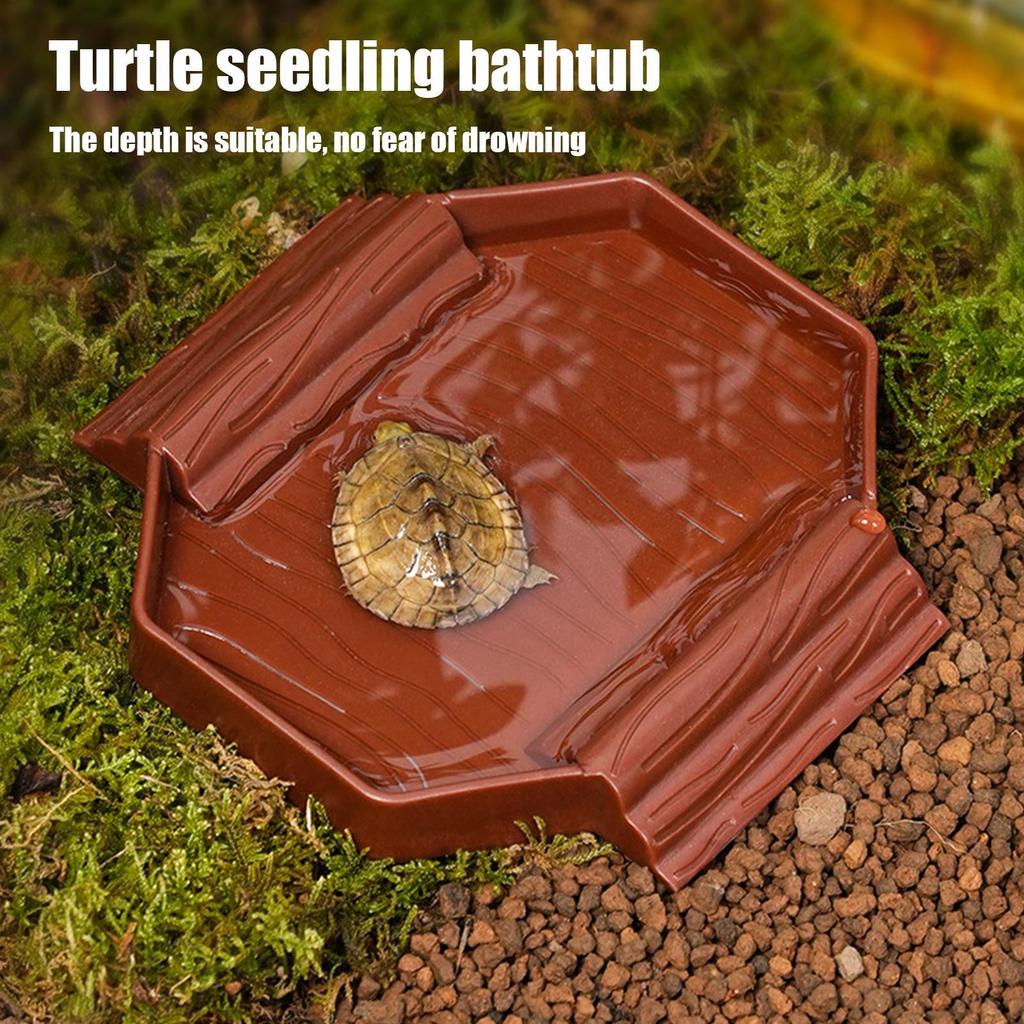 Schildkröten Wassernapf Rutschfest Reptilien Pool Schale Dekorative Schildkröten Badewanne mit Rampe für Schildkröte Schlange Gecko Terrarium Zubehör
