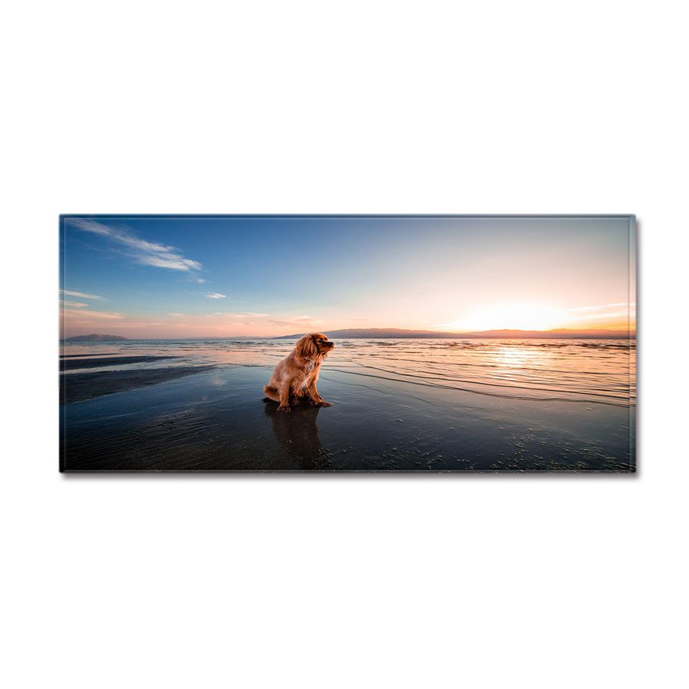 Animal Entry Mat Kitchen Absorbent Mat Bathroom Non-Slip Mat Bedroom Living Room Carpet Floor Mat