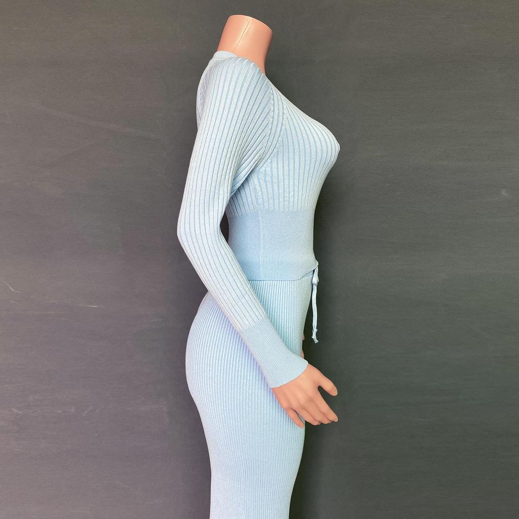 Toamnă Iarnă Femei Gâtul O cu mânecă lungă Culoare uni Pantaloni cu picioare largi Toate se potrivesc cu costume din două piese