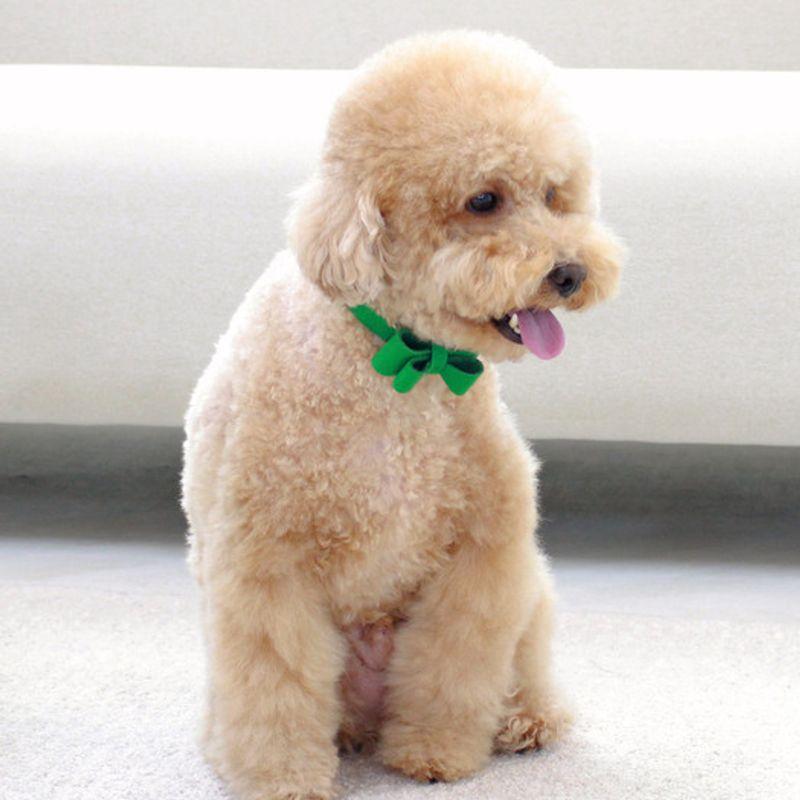 MAISON DE MIU Weiches Schleifen-Halsband Grün