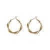 Fashionable Women's Versatile Earrings With A High-end Temperament Hoop