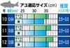 Gamakatsu The Box V2 Mega Flyer 10 G-HARD (Nano SC)