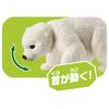 Takara Tomy Ania Polar Bear Animal Dinosaur Toy for Ages 3 and Up AC-10 (Children's)