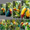 Keel-Billed Toucan Phone Case for Samsung A54 A14 A24 A34 A17 A37 A57 A55 A35 A25 A15 A13 A23 A33 A53 A07 A05S A04S A03 A73 Gala