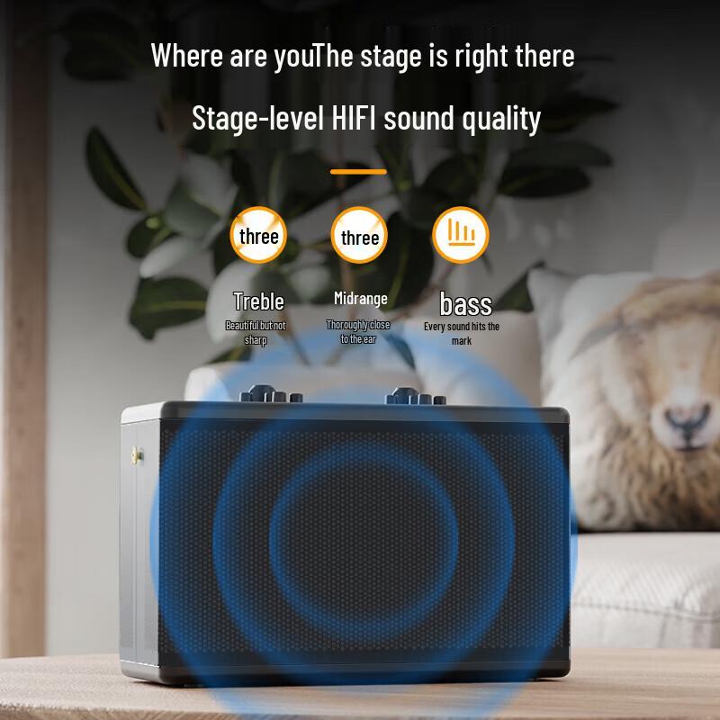 Philips SD100 Portable Outdoor Bluetooth Speaker with Dual Microphones