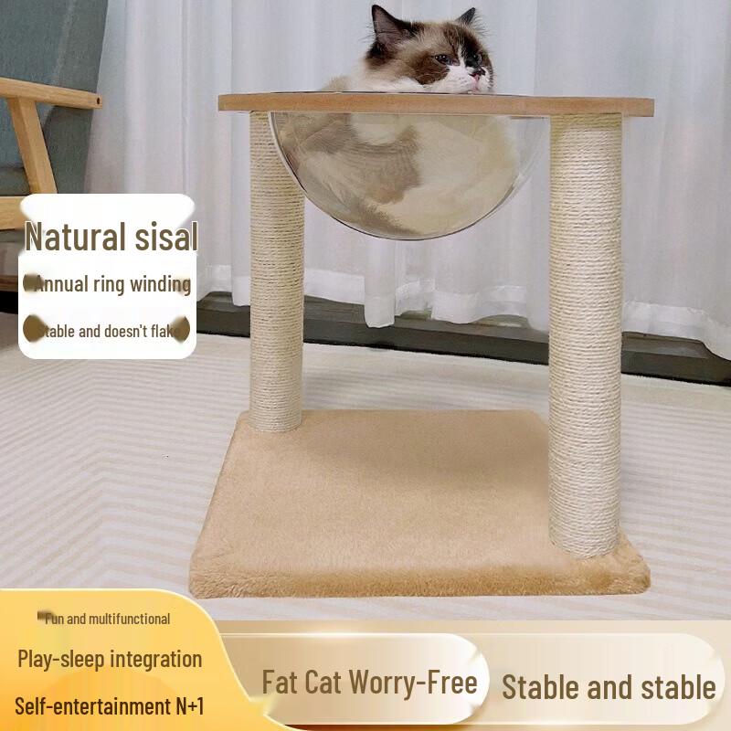 Transparent Cat House and Summer Bed