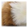 BH3735 HANSA Guinea Pig 20