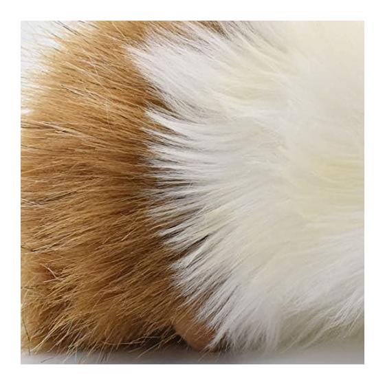 BH3735 HANSA Guinea Pig 20