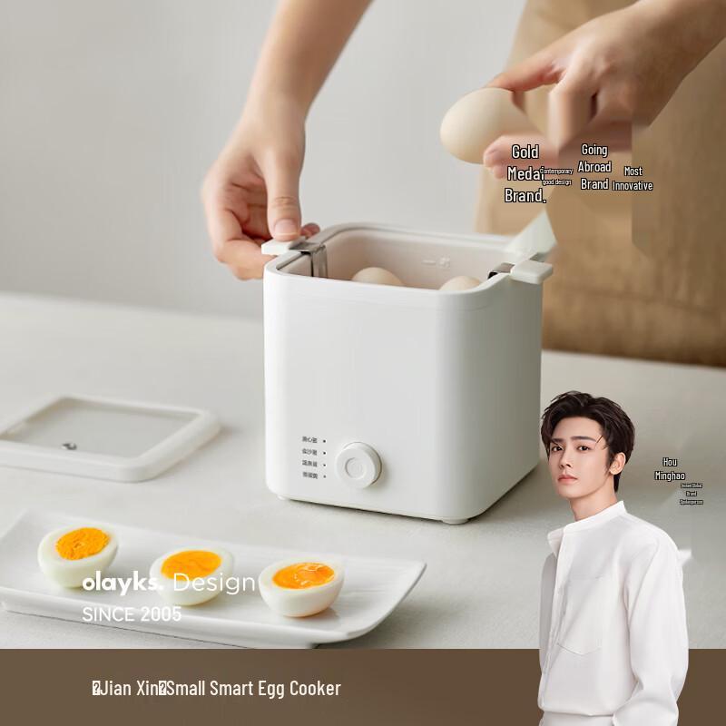 Olayks Smart Electric Egg Cooker & Steamer CN plug (adapter included)