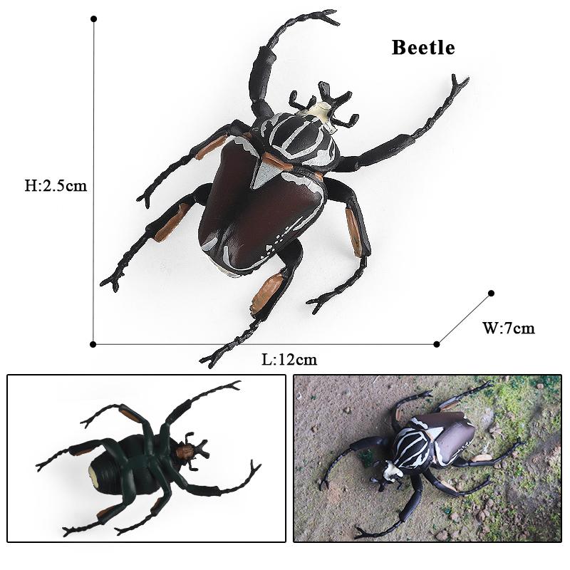 Oenux New Insect Animals Model Butterfly Bee Dragonfly Mantis Ant Snail Action Figures Jouet Collection Decor Kids Education Toy