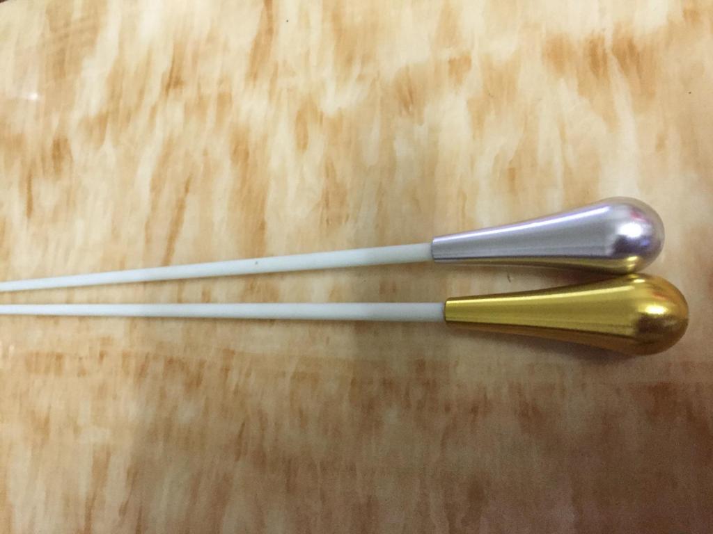 Elegant Gold and Silver Concert Conductor Baton